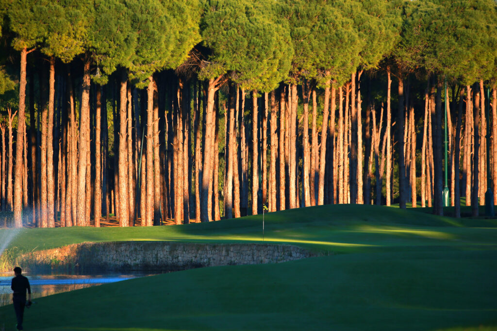 Fairway with trees around at Carya Golf Course