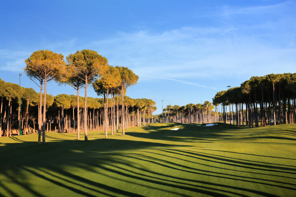 Fairway with trees around at Carya Golf Course