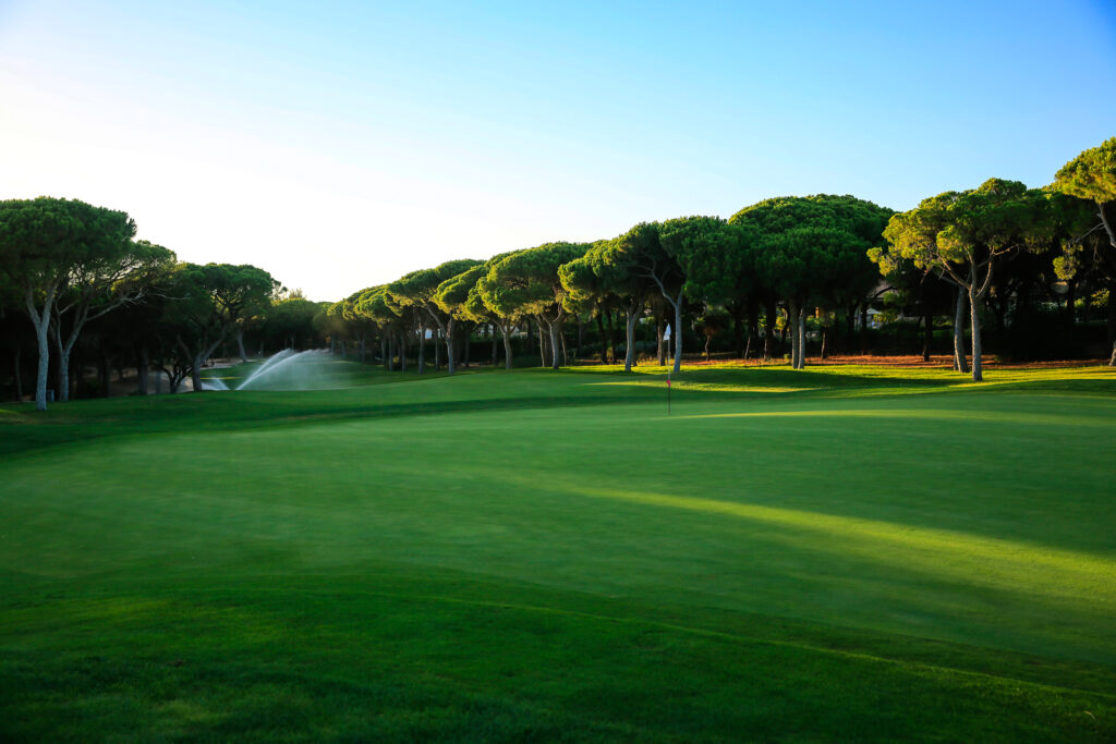 Trees on fairway with sprinklers on at Dom Pedro Millenium