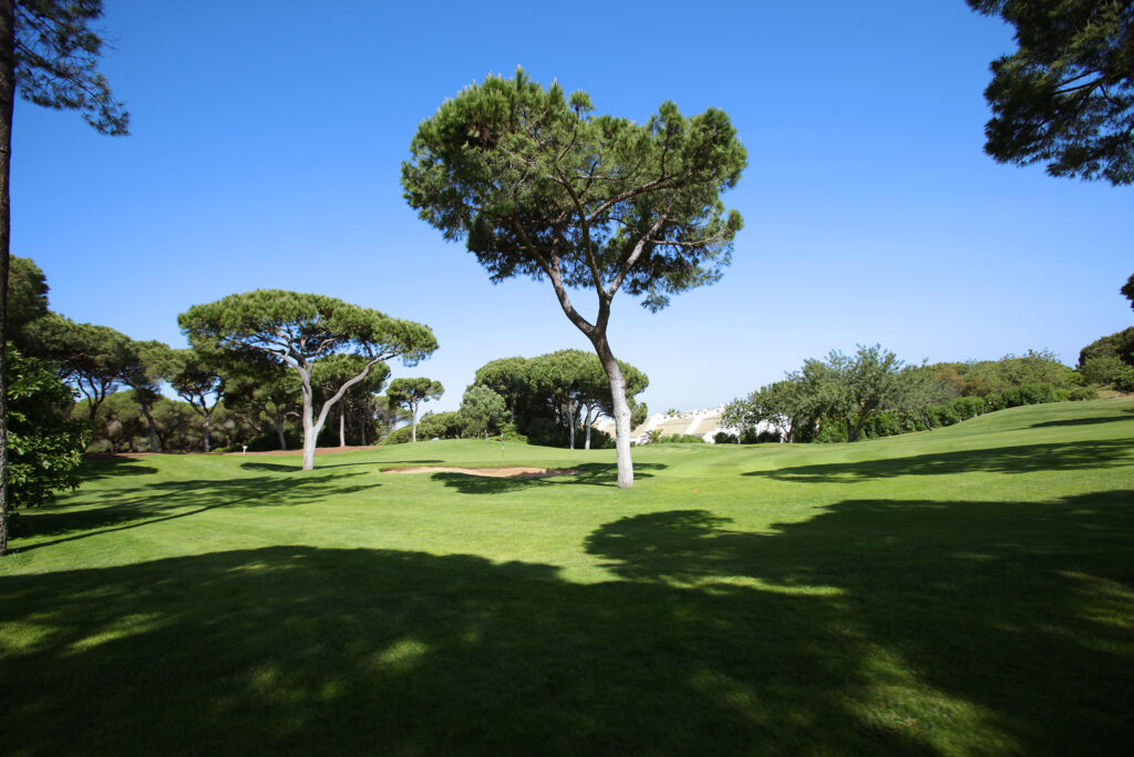 Fairway with trees at Dom Pedro Old Course