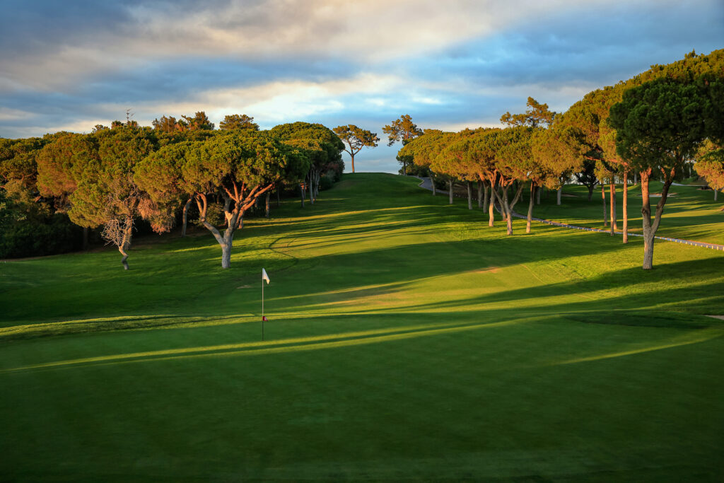 Fairway with trees lining it at Dom Pedro Old Course