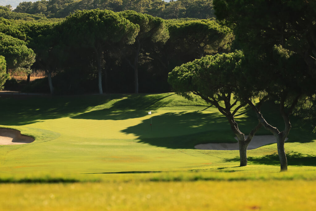 Trees on the fairway at Dom Pedro Old Course