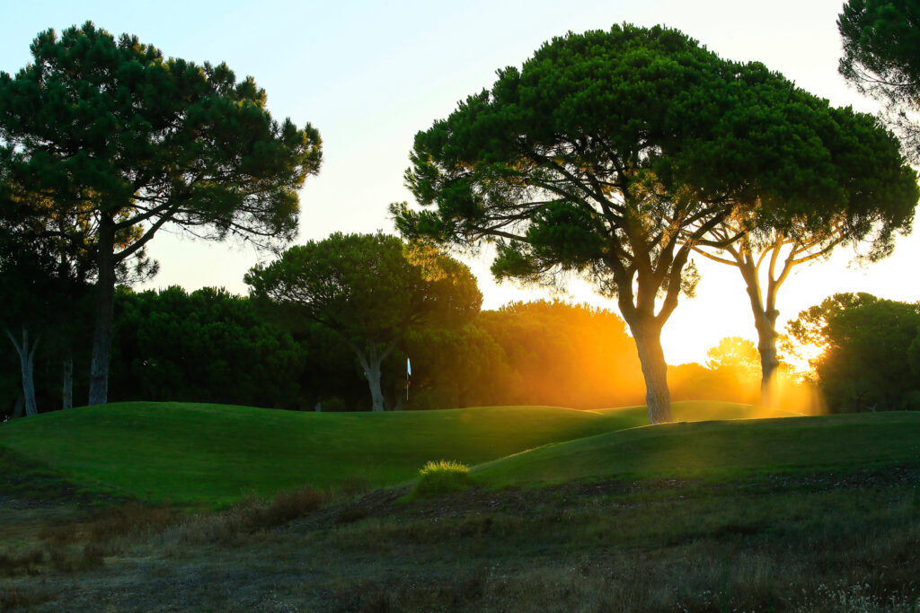 Sunset through trees on the fairway at Dom Pedro Pinhal
