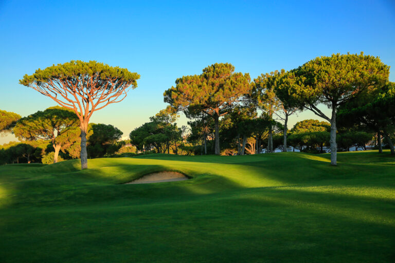 Fairway with trees at Dom Pedro Pinhal