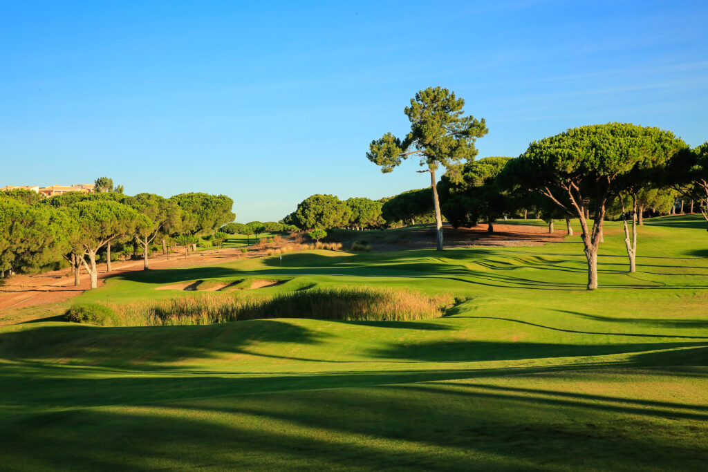 Trees on fairway at Dom Pedro Pinhal