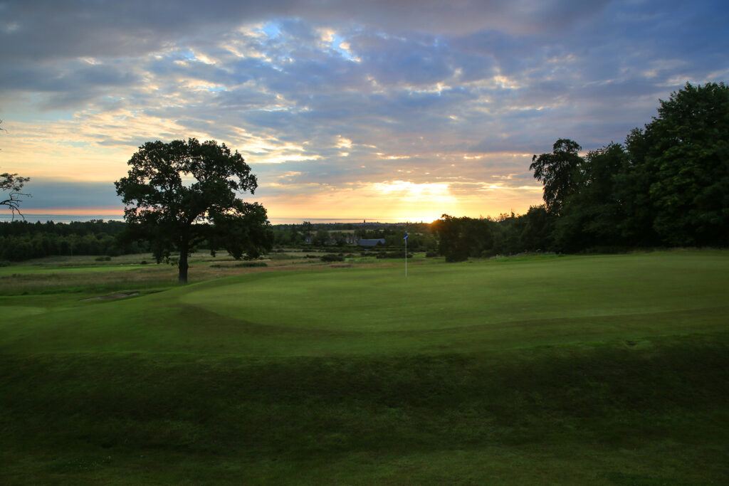 Hole with blue flag at The Dukes Course with trees around