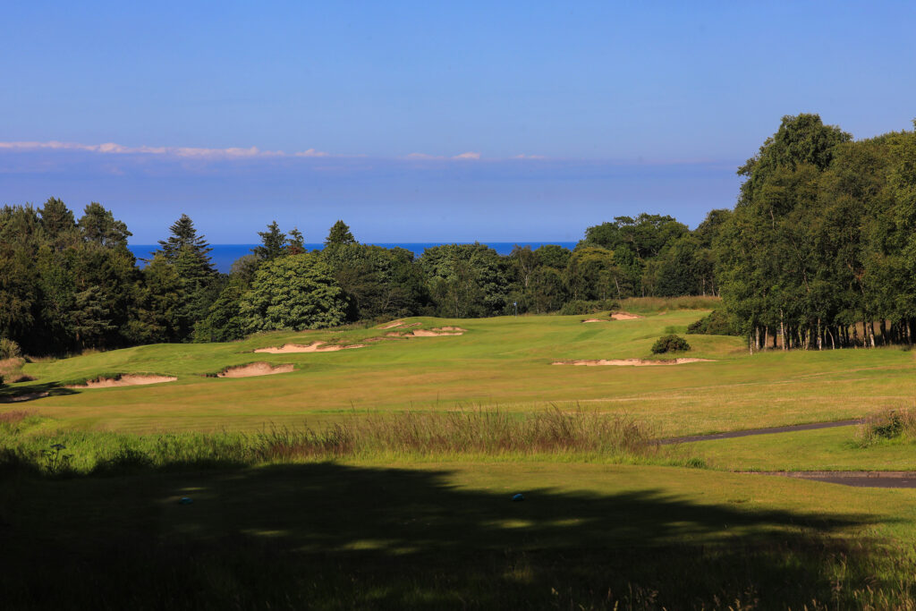 Fairway with bunkers at The Dukes Course with trees around