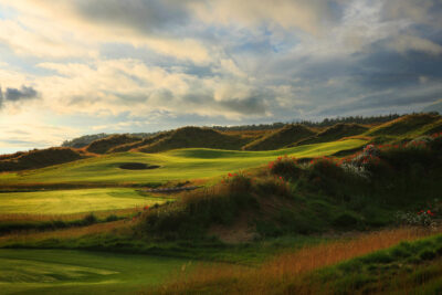 Flowers near hole at Dumbarnie Links with hills in background