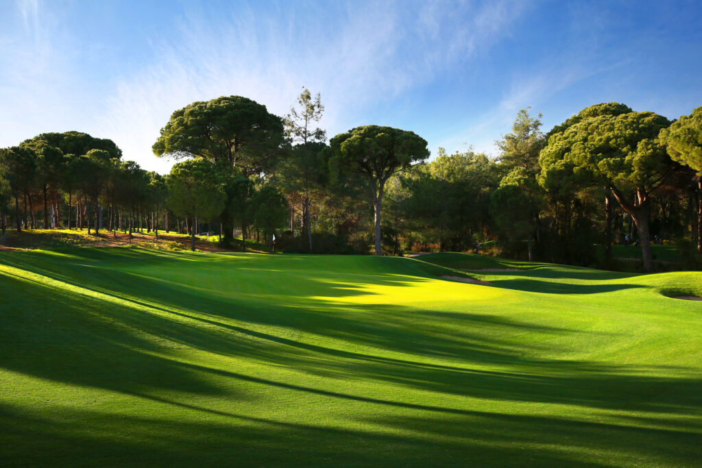 Cornelia Faldo golf course with trees in the background