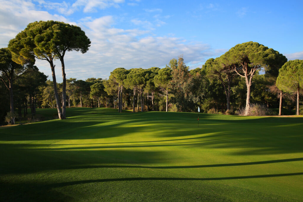 a perspective view of Cornelia Faldo golf course
