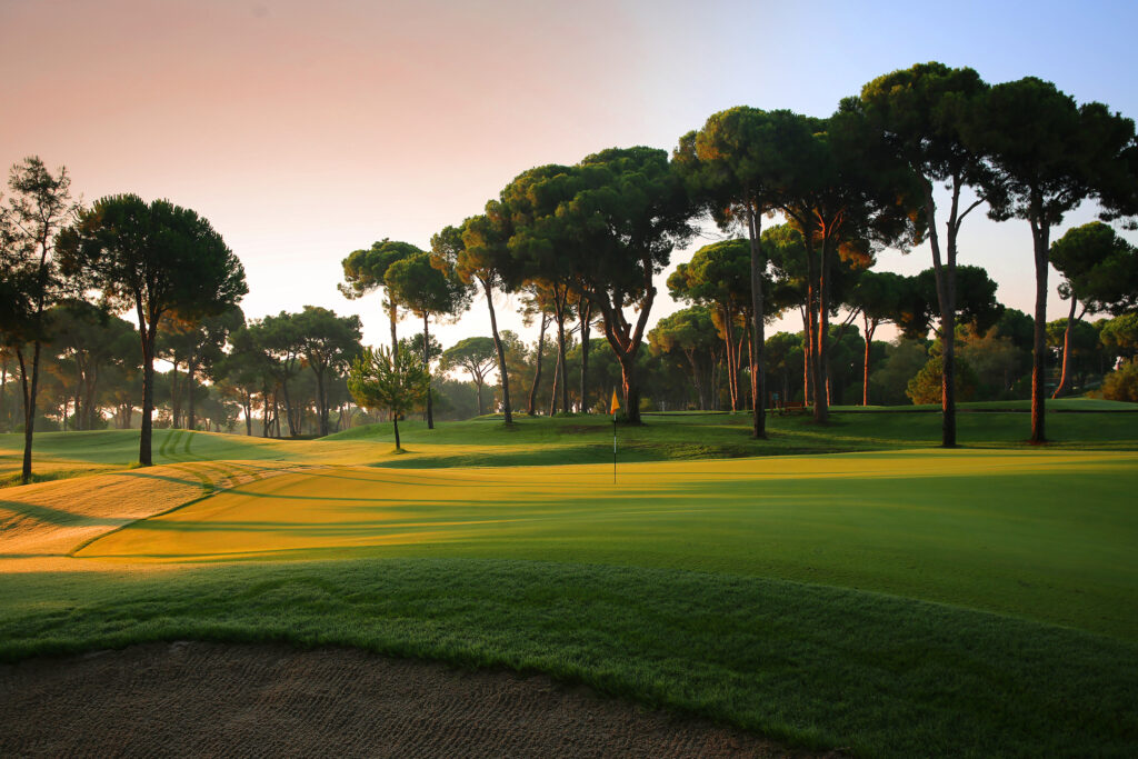 Hole with yellow flag with trees around at Gloria - New Golf Course