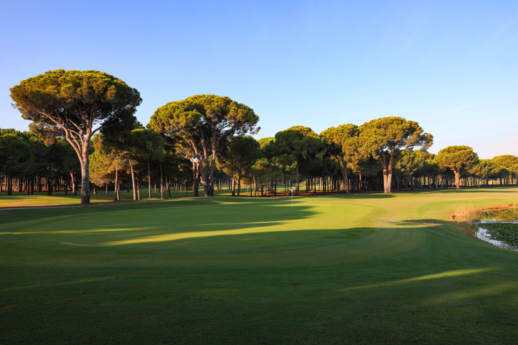 Hole with trees around at Gloria - New Golf Course