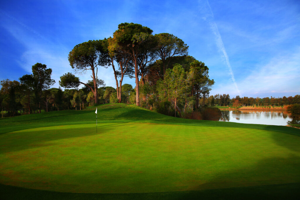 Hole with trees around at Kaya Palazzo Golf Club