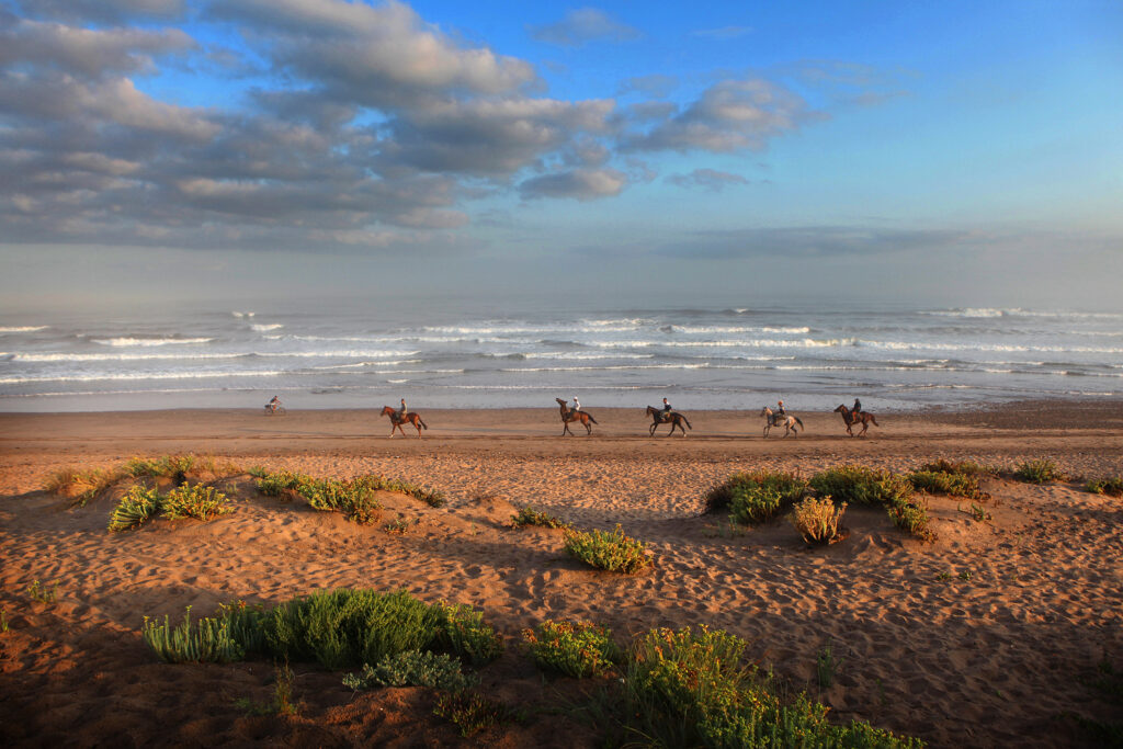 People riding horses on the beach at Mazagan Golf Course