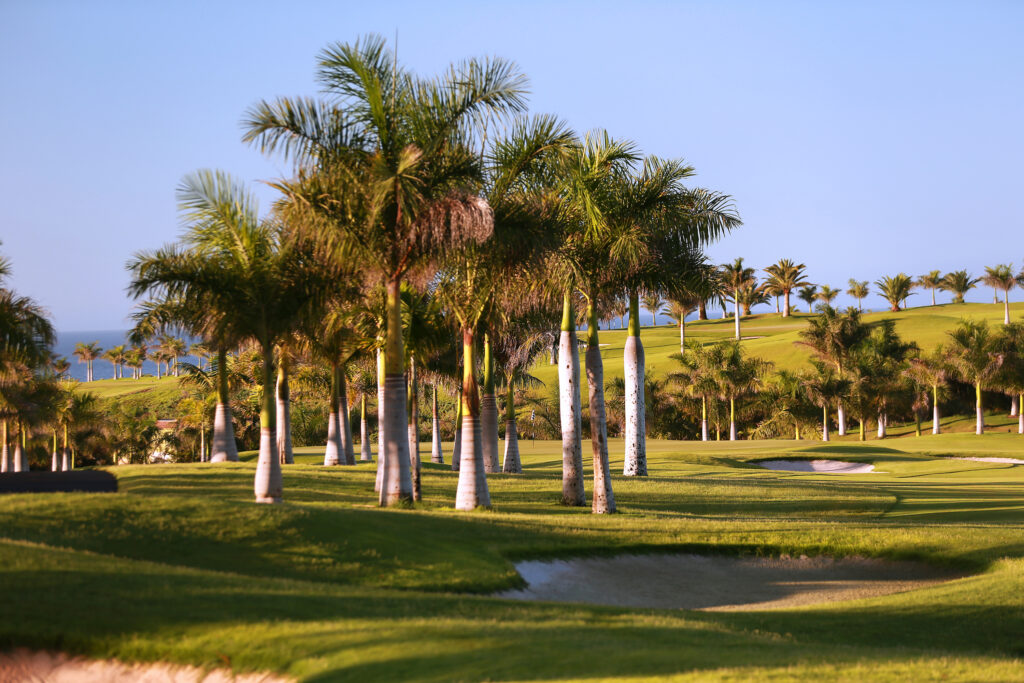 Fairway with bunkers and trees around at Meloneras Golf