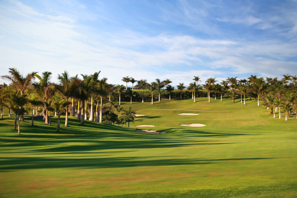 Fairway with bunkers and trees around at Meloneras Golf