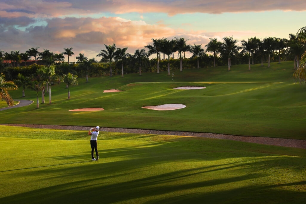 Person playing golf at Meloneras Golf with bunkers and trees around