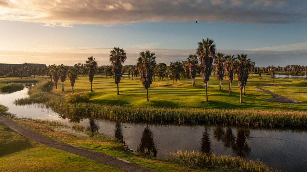 Water hazard with palm trees in background at Salgados Golf Course