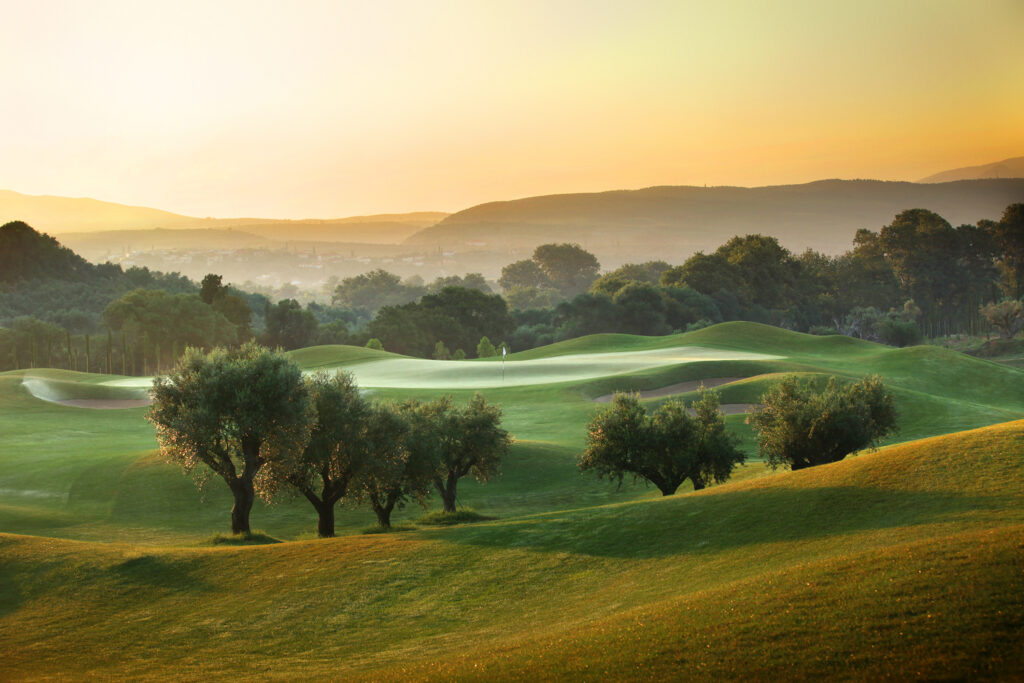 trees on the Dunes Course at Costa Navarino