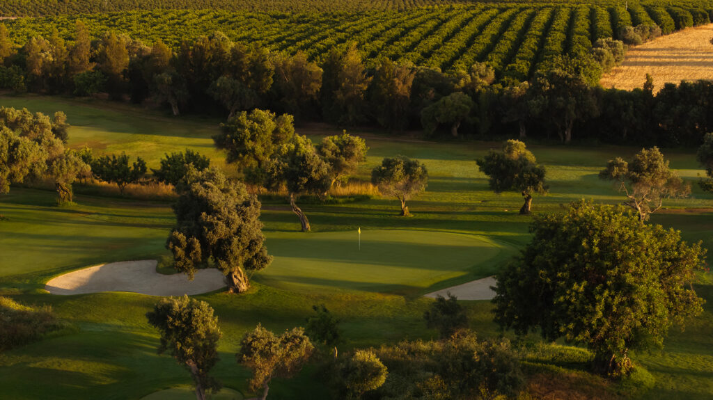 A green with trees surrounding it at Quinta De Cima Golf Course