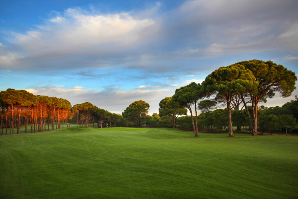 Fairway with trees around at Sueno Golf Club - Dunes Course