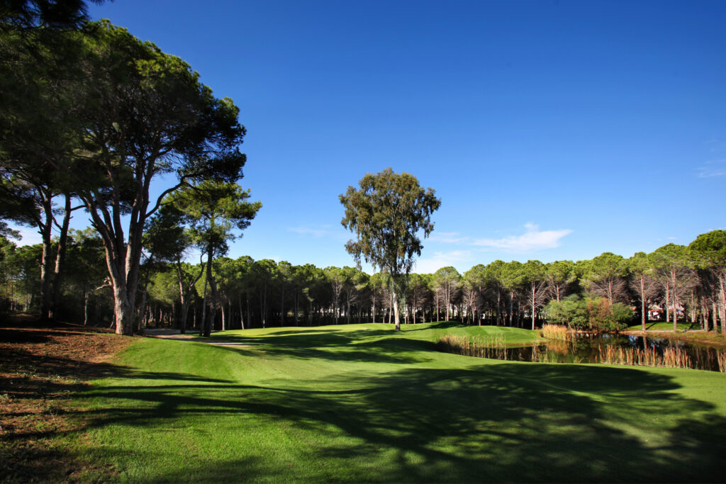 Fairway with trees around at Sueno Golf Club - Dunes Course