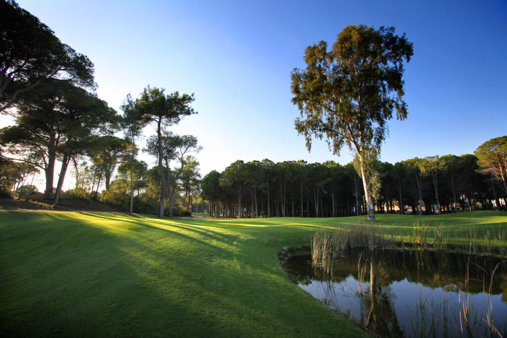 Fairway with trees around at Sueno Golf Club - Dunes Course