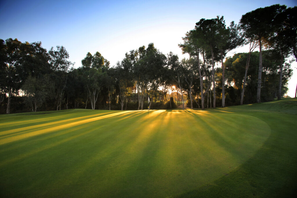 Hole with trees around at Sueno Golf Club - Dunes Course