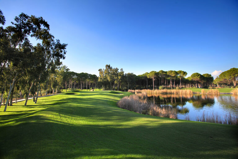 Fairway with trees and lake at Sueno Golf Club - Pines Course