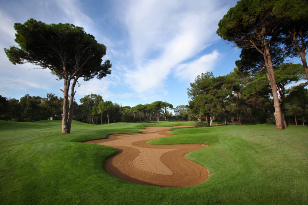 Bunker on fairway with trees around at Sueno Golf Club - Pines Course