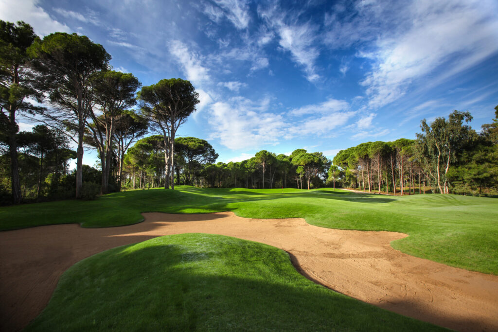 Bunker on fairway with trees around at Sueno Golf Club - Pines Course