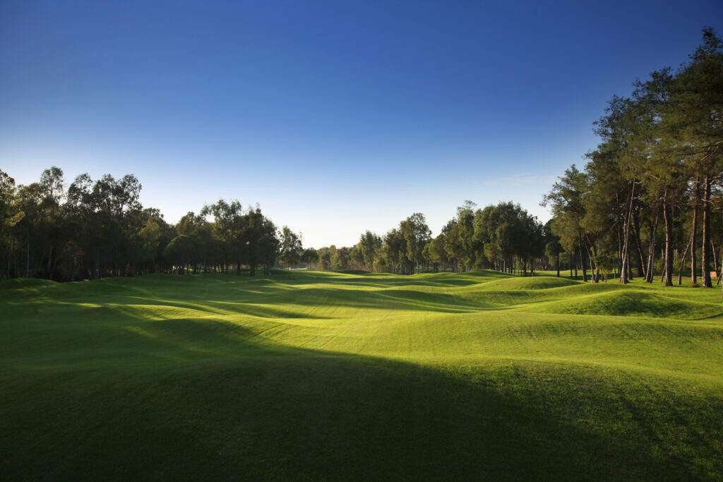 Fairway with trees around at Sueno Golf Club - Pines Course