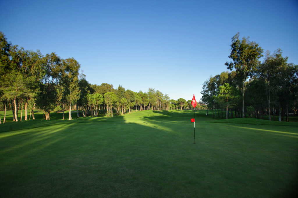 Hole with trees around at Sueno Golf Club - Pines Course