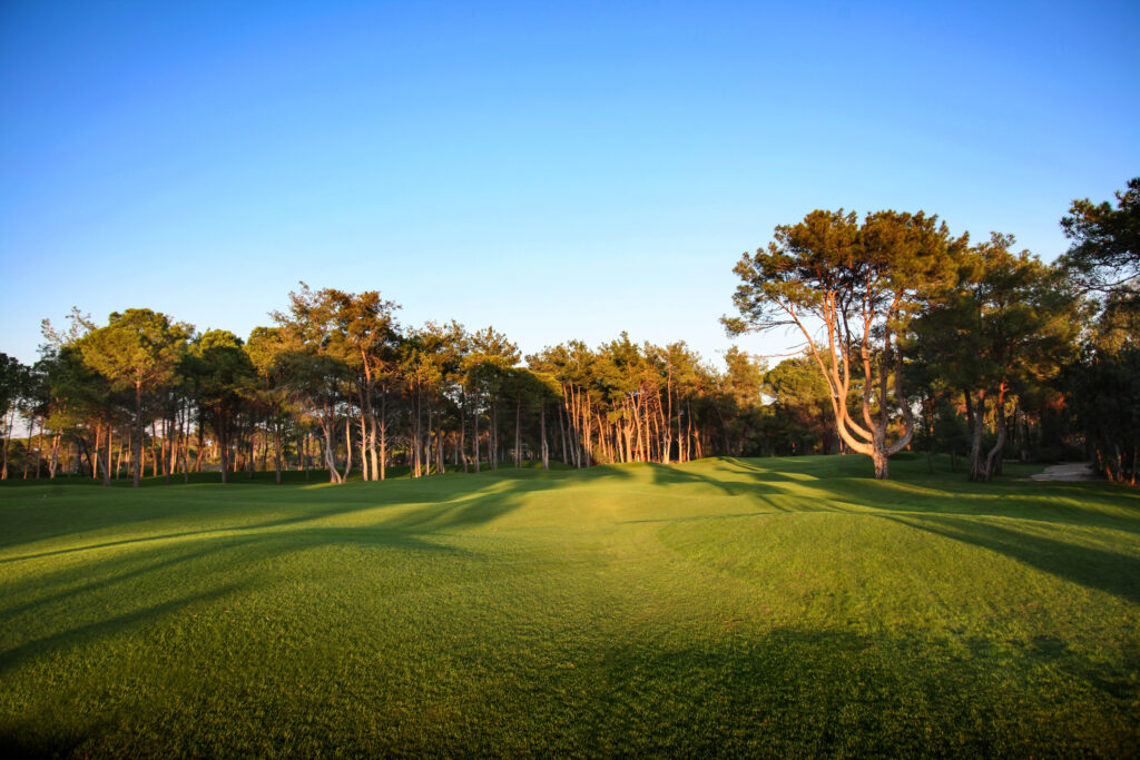 Fairway with trees around at Sueno Golf Club - Pines Course