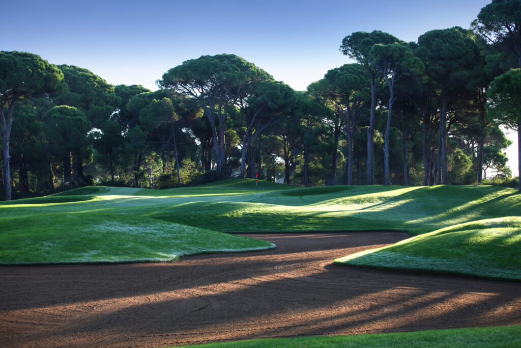 Bunker on fairway at Sueno Golf Club - Pines Course with trees around