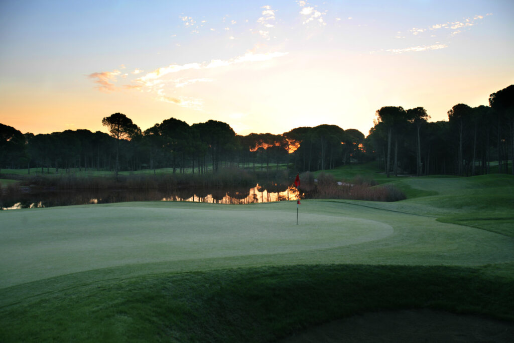 Hole with trees and lake in background at Sueno Golf Club - Pines Course