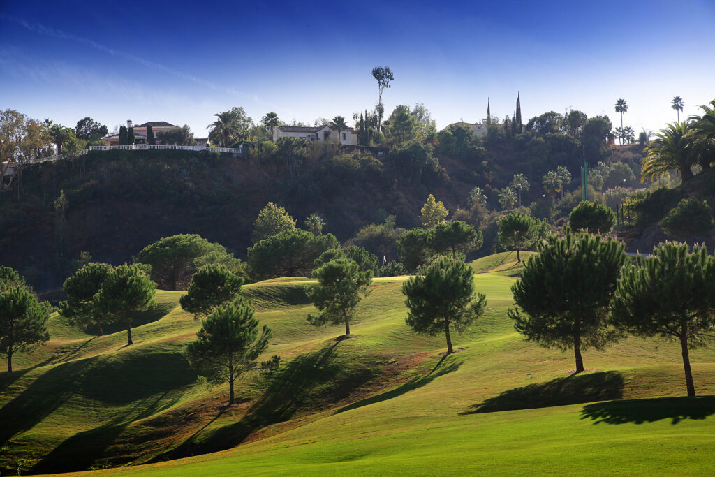 Fairway with trees at La Quinta Golf Course