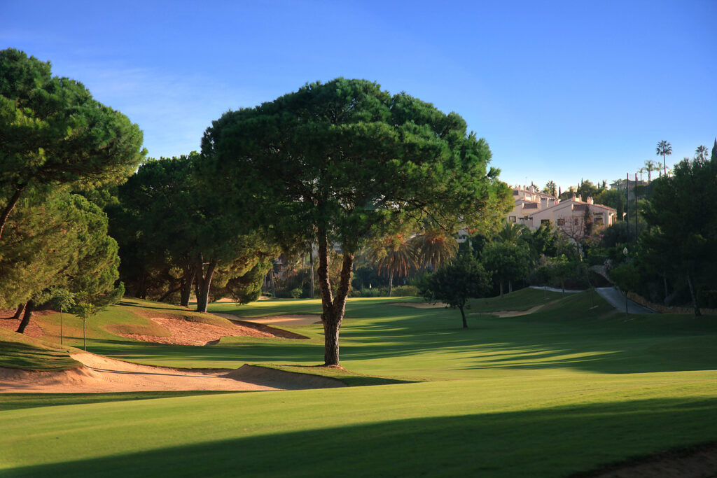 Trees and bunkers on fairway at La Quinta Golf Course