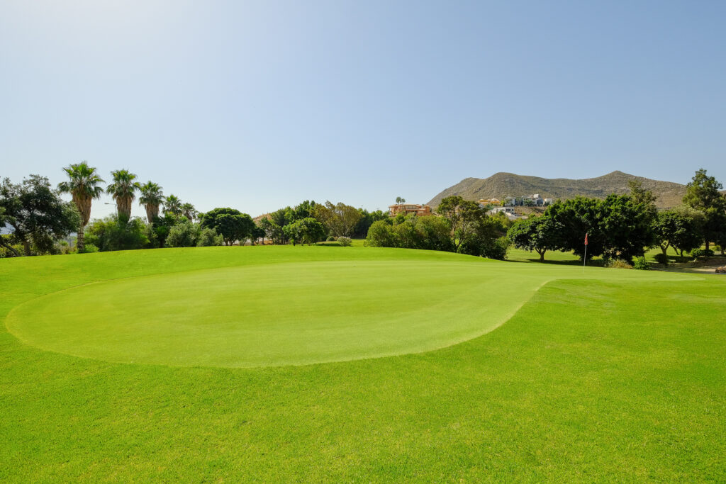 A green with red flag at La Envia Golf Course