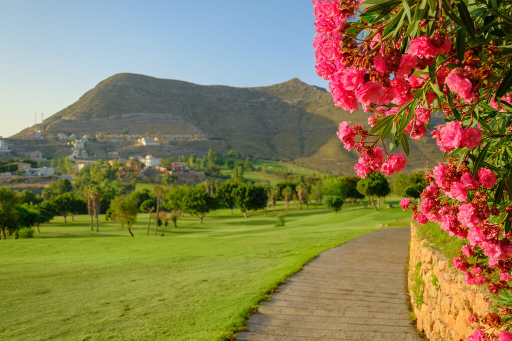 Pathway with flowers leading through fairway at La Envia Golf Course