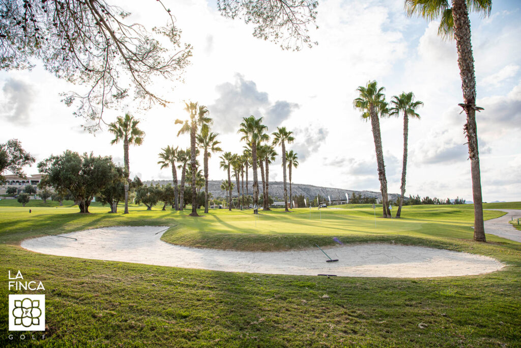 Bunker with palm trees around at La Finca Golf Course