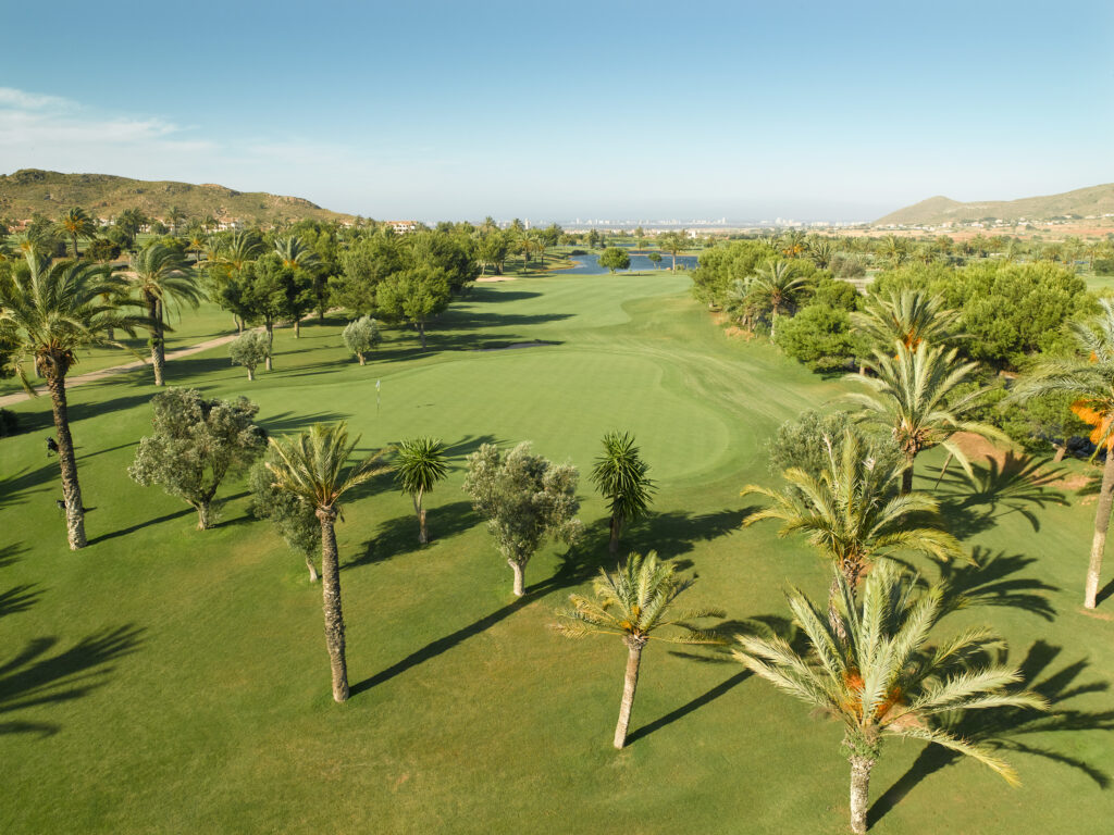 Aerial view of fairway at La Manga Club North with trees around