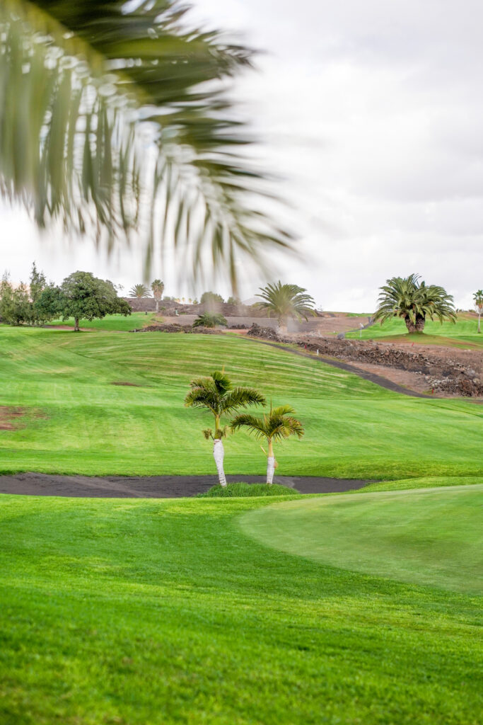 Fairway with trees at Lanzarote Golf