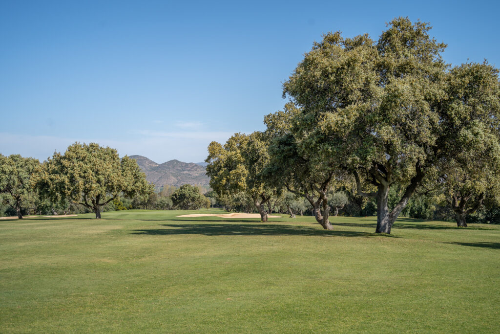 Fairway with trees and bunker at Lauro Golf Course