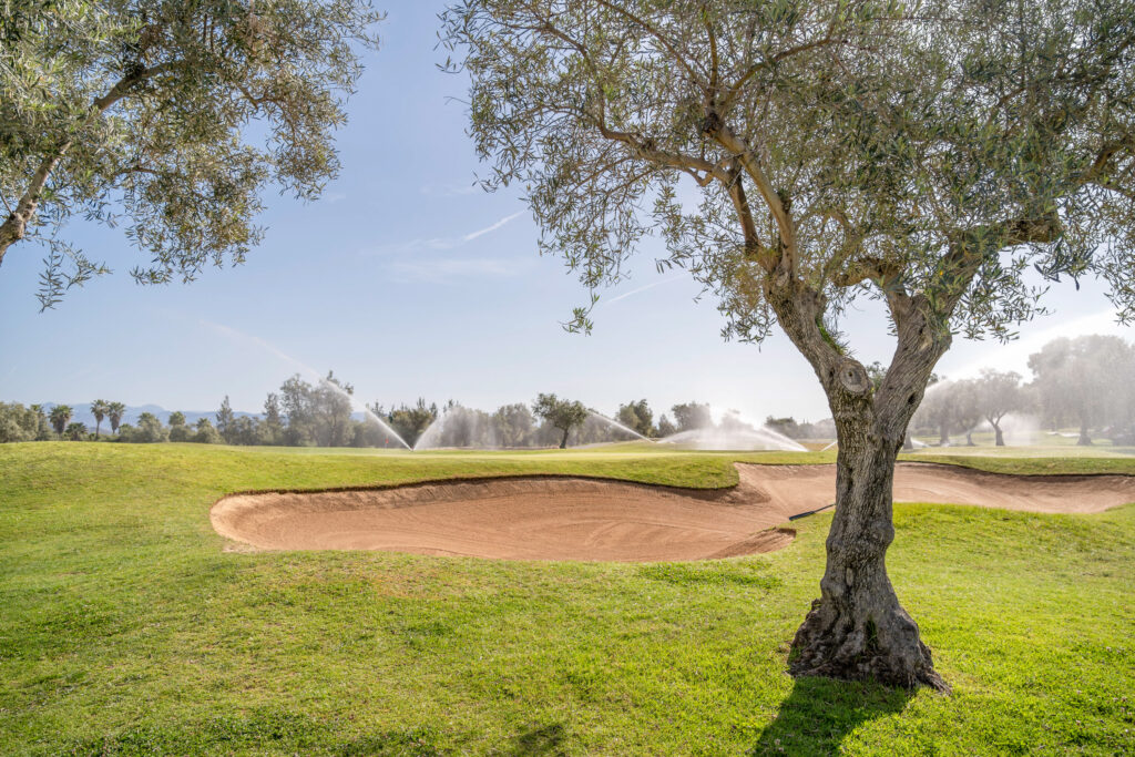 Bunker on fairway with sprinklers on at Lauro Golf Course