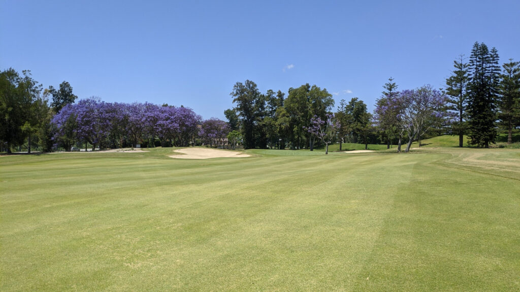 Fairway with bunkers and trees at Mijas Los Lagos Golf Course