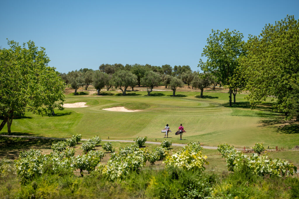 People playing golf at Minthis Golf Club with trees around them