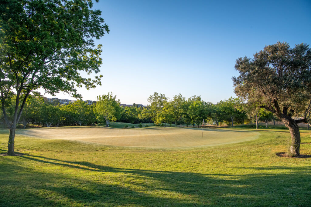 Hole with trees around at Minthis Golf Club