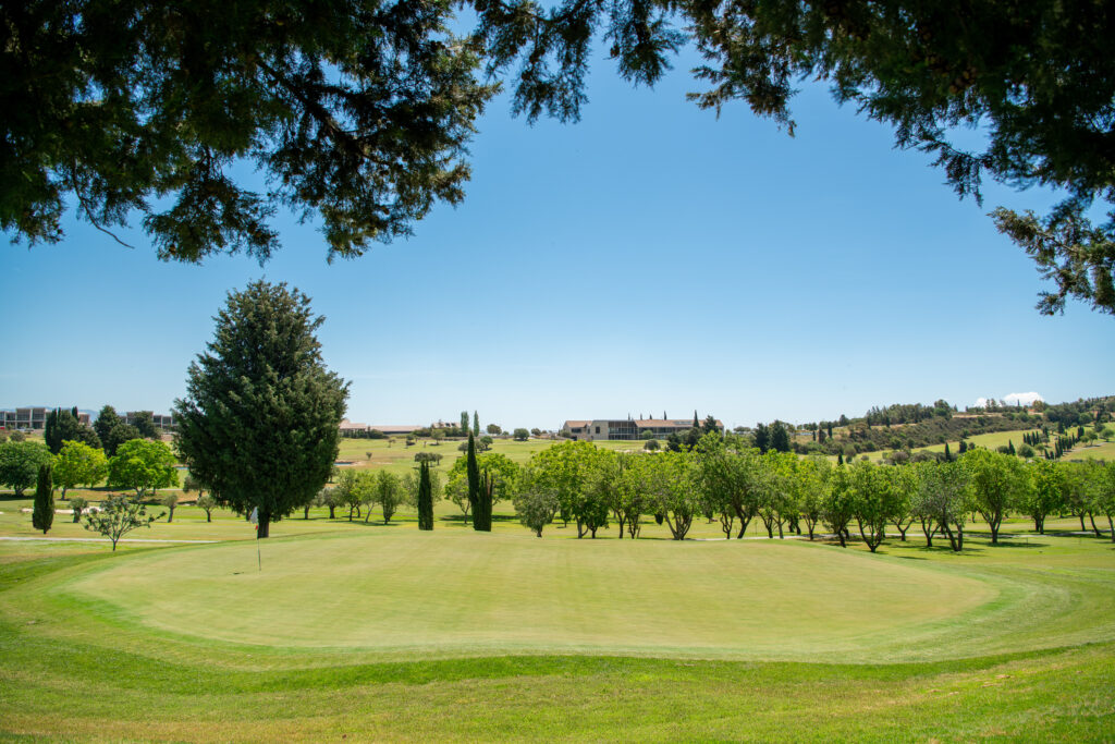 Hole at Minthis Golf Club with trees around it