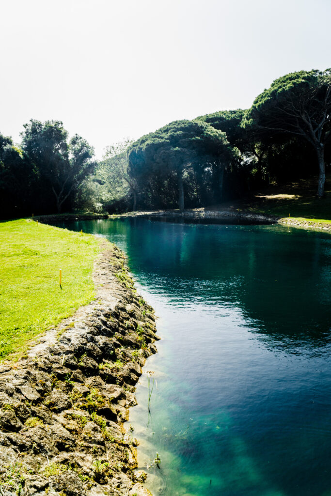 Lake at Montenmedio Golf & Country Club with trees aorund